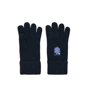 Guantes de punto con insignia Alpine marino